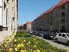 Langerhansstraße