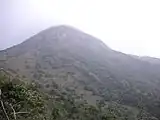 Nebelumhüllter Gipfel – Lantau Peak, 2017