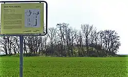 Der Pohlsberg bei Latdorf
