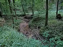 Bachlauf im Wald