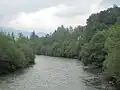 Die Traun bei Lauffen