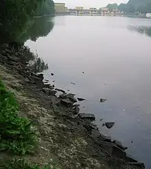Früh morgens ist am Ufer die tägliche Schwankung des Wasserstands erkennbar.
