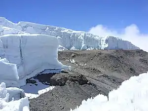 Eis des Crednergletschers im Jahr 2009