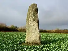 Der Menhir Toul-an-Lann