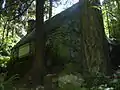 Felsenhütte im Leach Botanical Garden