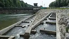 Fischtreppe