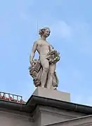 Flora