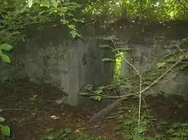 Eingang zum südlichen Keller (63), von innen.
