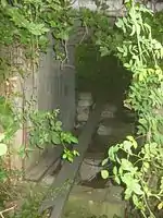 Eingang zum südlichen Keller (63), von außen.