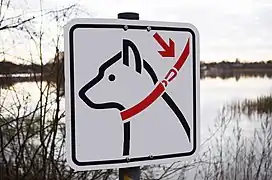 Piktogramm: Leinenpflicht