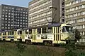 Leipzig: Dreiwagenzug („Großzug“) aus Tatra-Großraumwagen in Doppeltraktion