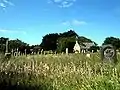 Friedhof von St Uny