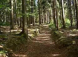 Nurtschweg südöstlich des Lenkenthales