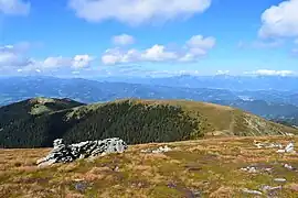 Vom Gipfel nach Norden abfallenden Rücken, links der Wildeggkogel