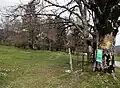 Wanderweg durch die Magerwiese Les Voigières