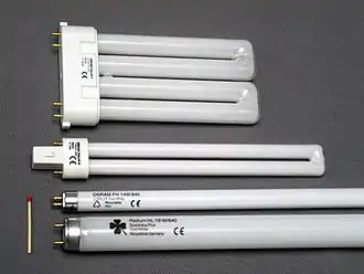 Von oben: 4-Stift-Steck­so­ckel 2G10, 2-Stift-Steck­sockel G23. Unten: Zweier­lei Typen Röh­ren­so­ckel