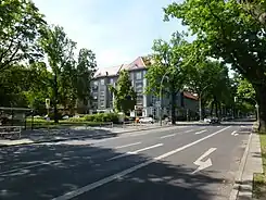 Unter den Eichen