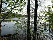 Liebenberger See im südwestlichen Teil
