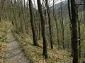 Oberer Lieserpfad