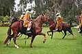 Paso Peruanos in Lima