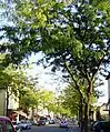 Speyerer Straße, Hauptgeschäftsstraße