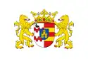 Flagge des Ortes Lingewaal