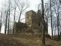 Burgruine Leipe