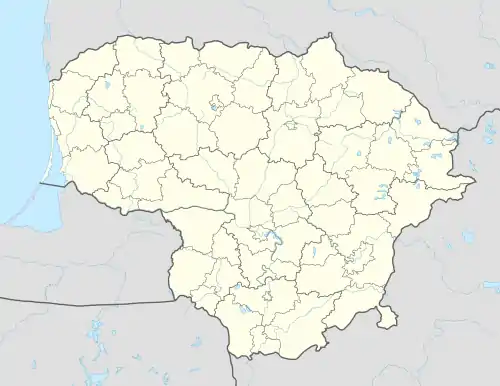 Kaunas (Litauen)