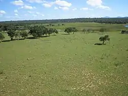 Llanos bei San Ignacio