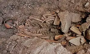 Der Mann von Modeval. Bei Selva di Cadore gefundenes Grab eines steinzeitlichen Jägers.