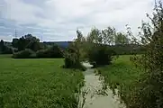 Lobsigensee – Abfluss Seebach