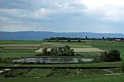 Lobsigensee – Hintergrund Ausläufer des Jura