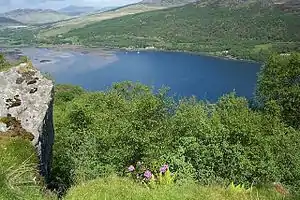 Kopf von Loch Riddon