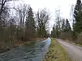 Der Lochbach im Lech-Auwald