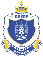 Logo Dnjapro Mahiljou