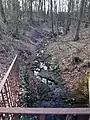 Quellgebiet des Hopener Mühlenbachs