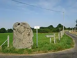 Longue Pierre von Landepéreuse
