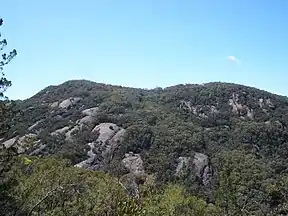 Gipfelregion des Pine Mountain