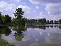 Weiher von Tensch
