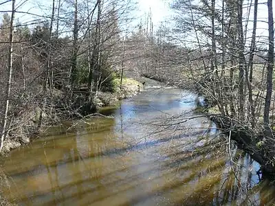 Die Loue bei Le Moulin du Pont