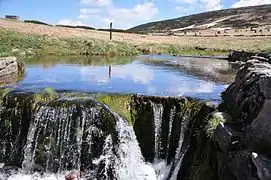 Bächlein auf der Weißen Wiese