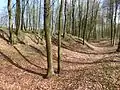 Links der Burgwall, rechts im Bild der Graben.