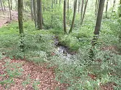 Ludergraben Quellgebiet