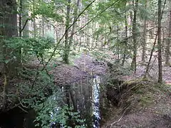Ludergraben bei Netzstall