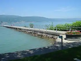 2005