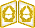Kragenspiegel(Luftwaffe)