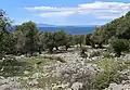Naturreservat Olive-Gardens