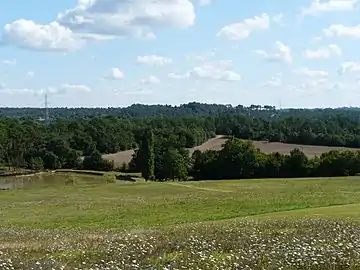 Wälder bei Lunas