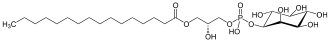 Struktur von Lysophosphatidylinositol