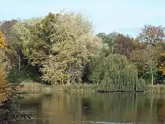 Nordufer des Parkteichs